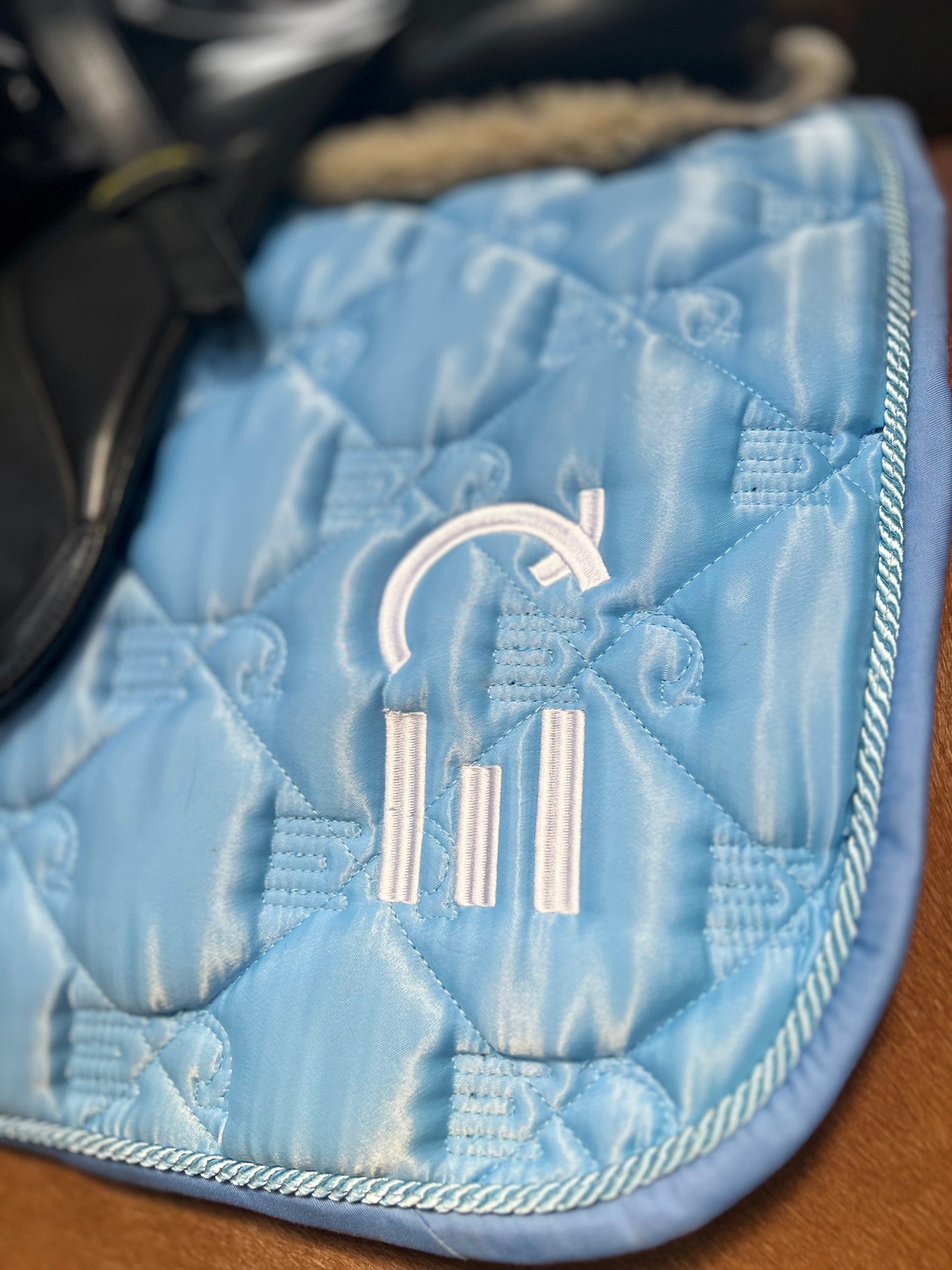 Sky Blue - Jump/Dressage
