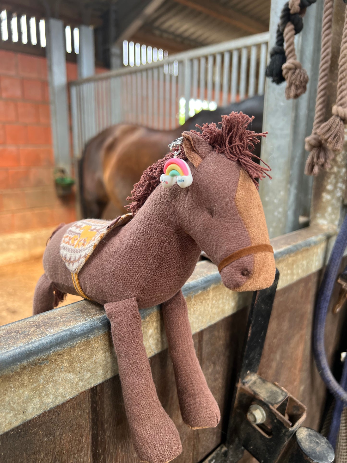 Horse Charm - Rainbow - Limited