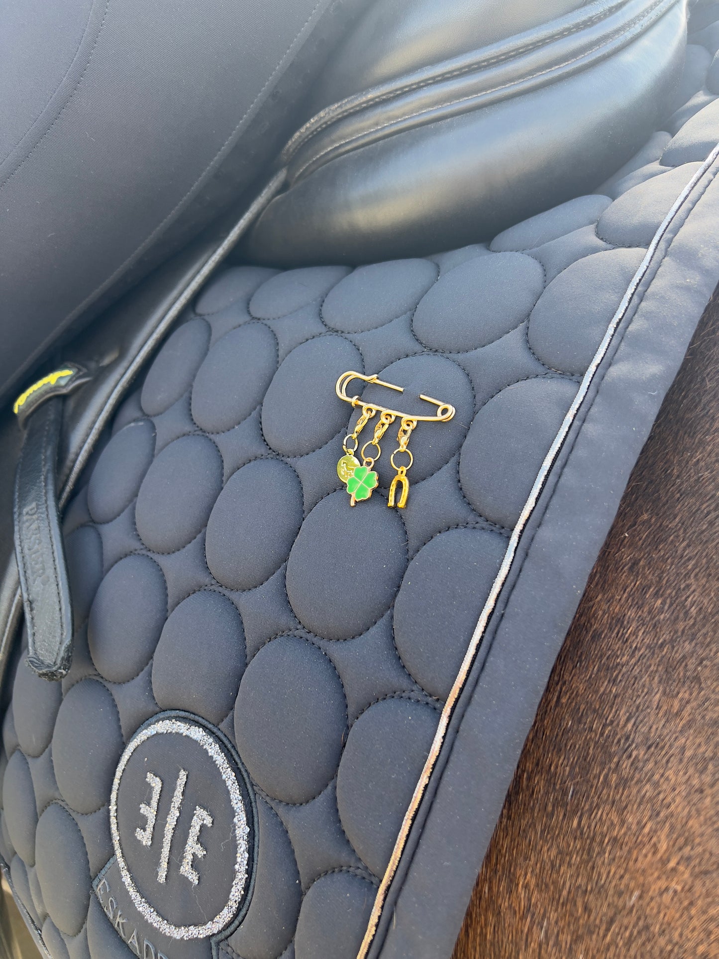 EquusCompany-SwitchPin