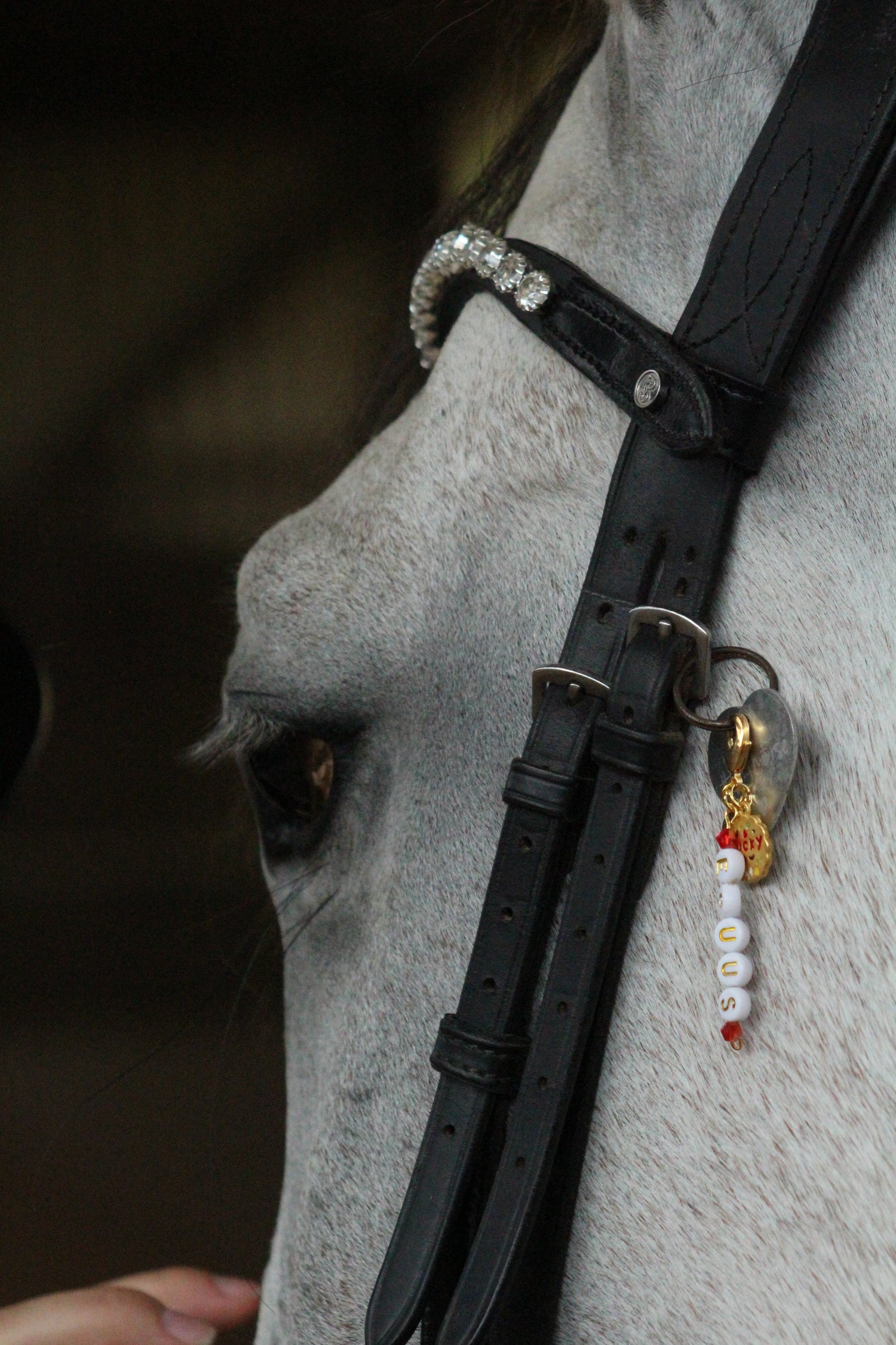 Alle Charms