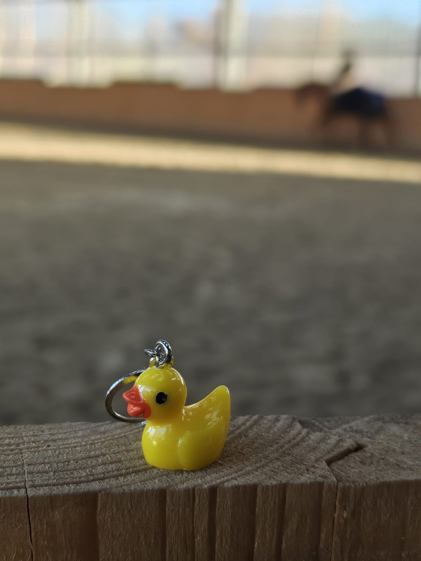 Equus Charm - Duck - Limited