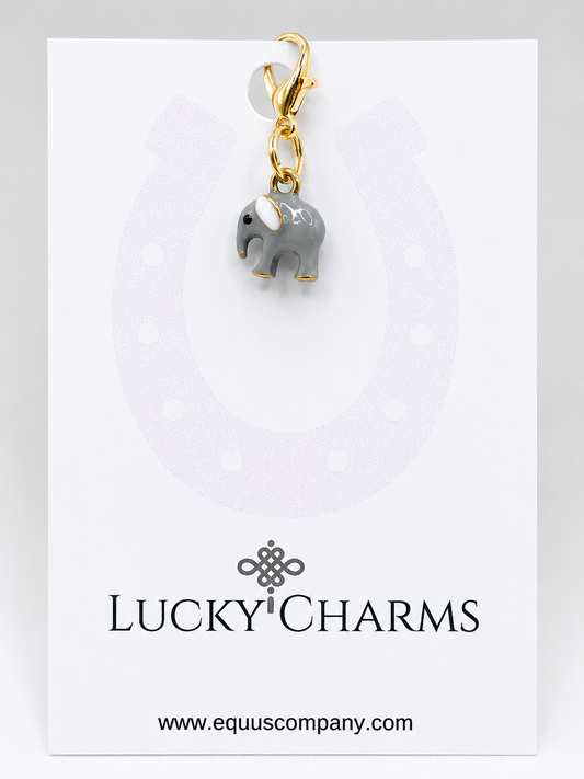 Lucky Little Elephant
